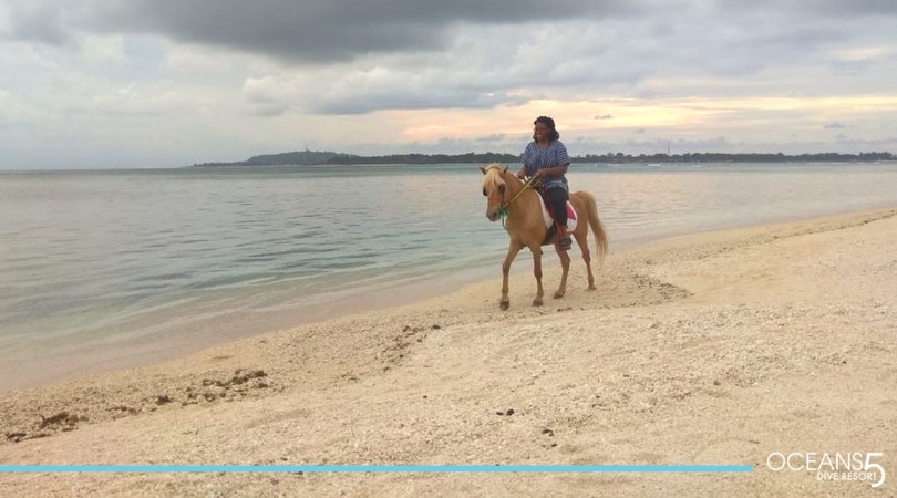 Horse riding on the beach