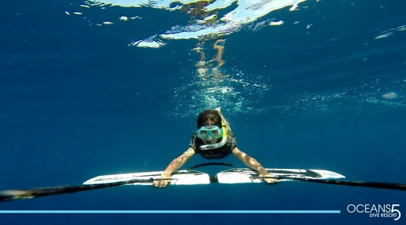Subwing through the water