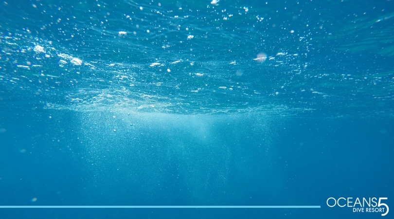 Just below the waters surface
