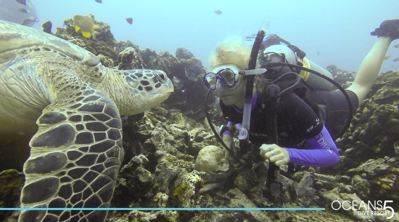 scuba diving and a turtle