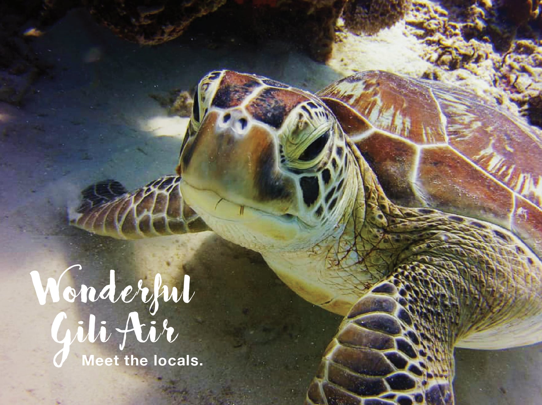Diving around Gili Air