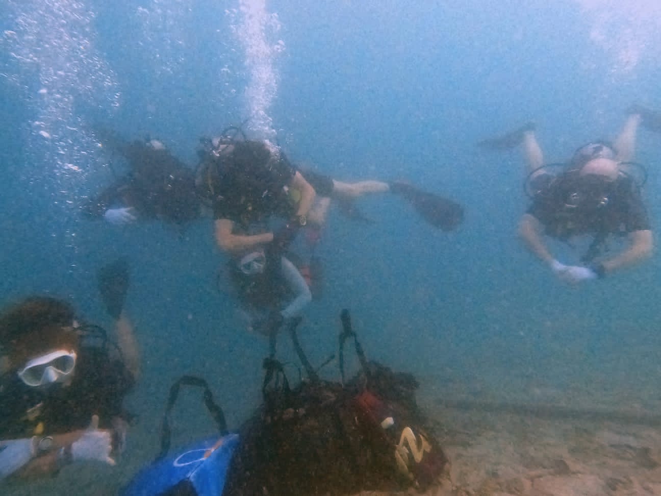 PADI Dive Against Debris