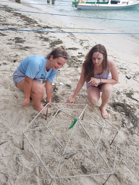 Reef Conservation Gili Islands