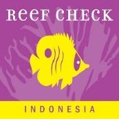 ReefCheckIndonesiaOceans 5 Dive Resort